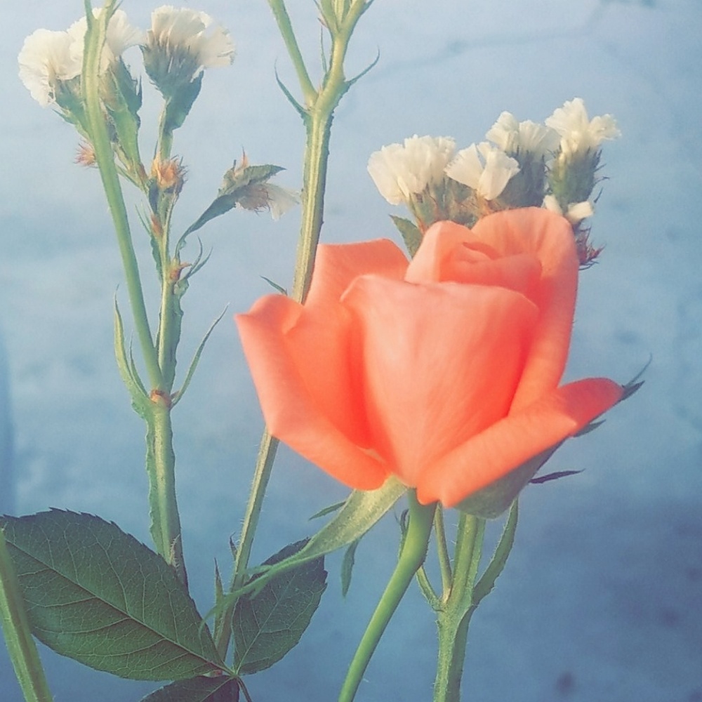 Welcome☺️! I'm Claudia🧘‍♀️.